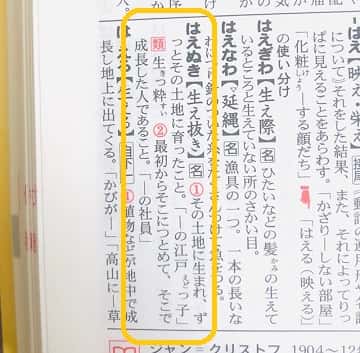 生え抜き の意味は 語源 対義語 類語も見てみよう ママが疑問に思うコト