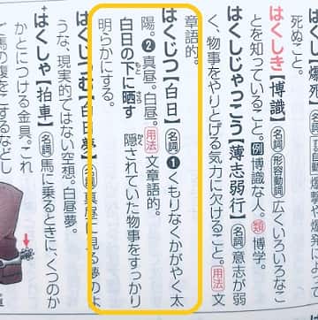 白日 ってどんな意味 辞書にはなんて書いてある ママが疑問に思うコト