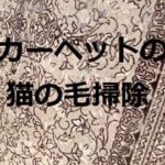 カーペットについた猫の毛を掃除,方法