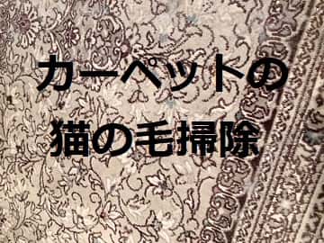 カーペットについた猫の毛を掃除,方法