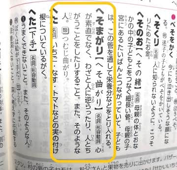 偏屈 ってどんな意味 類語 対義語 使い方も見てみよう ママが疑問に思うコト