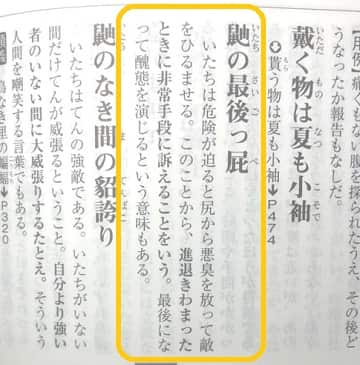 いたちごっこ とはどんな意味 語源は 類語も見てみよう ママが疑問に思うコト