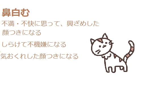 鼻白む の意味や語源は 類語や使い方も見てみよう ママが疑問に思うコト