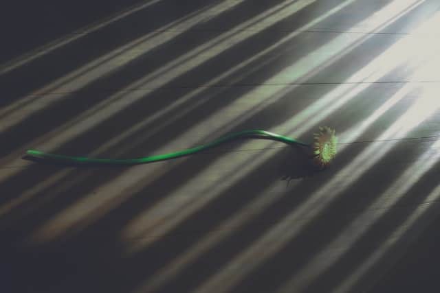 陰 影 とはどんな意味 違いや使い方も見てみよう ママが疑問に思うコト