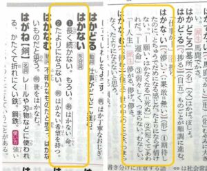 儚いという意味