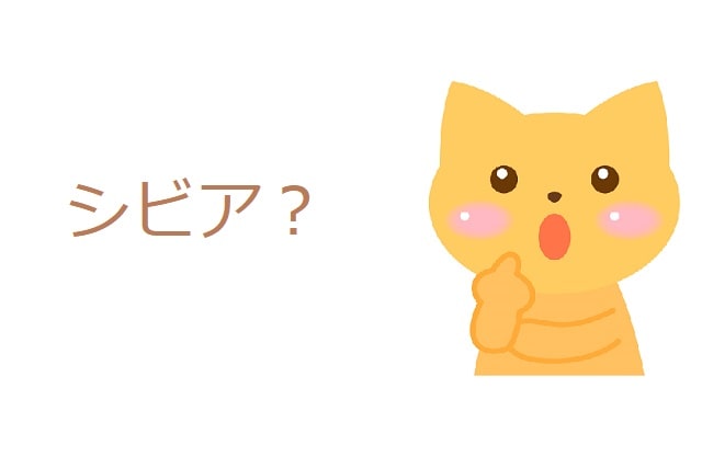 シビア とはどんな意味 英語は 類語や使い方も見てみよう ママが疑問に思うコト
